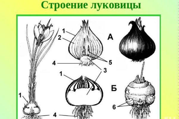 Рабочая ссылка на кракен